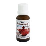قطره-آهن-فروزومال-11-میلی-گرم-سیمرغ-دارو-عطار-30-میلی-لیتر---Simorgh-Darou-Attar-Ferrosomal-Drops-30-ml