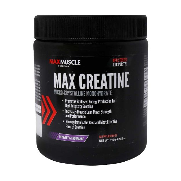 پودر مکس کراتین مکس ماسل 250 گرم - Max Muscel Max Creatine 250 g
