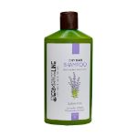 شامپو-فاقد-سولفات-تنظیم-کننده-چربی-کف-سر-درم-انجلین-250-میلی-لیتر---Dermangeline-Sebum-Regulator-And-Volumizer-shampoo-250-ml
