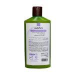شامپو-فاقد-سولفات-تنظیم-کننده-چربی-کف-سر-درم-انجلین-250-میلی-لیتر---Dermangeline-Sebum-Regulator-And-Volumizer-shampoo-250-ml