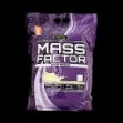 پودر-عضله-ساز-مس-فکتور-اپکس--۴٫۵-کیلوگرم---Apex-Mass-Factor-Powder-Ice-Cream-4.5-Kg