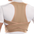 قوز-بند-نئوپنی-آتل-دار-پاک-سمن-کد-۰۱۲---paksaman-Postaure-Clavicle-Brace-Code-012