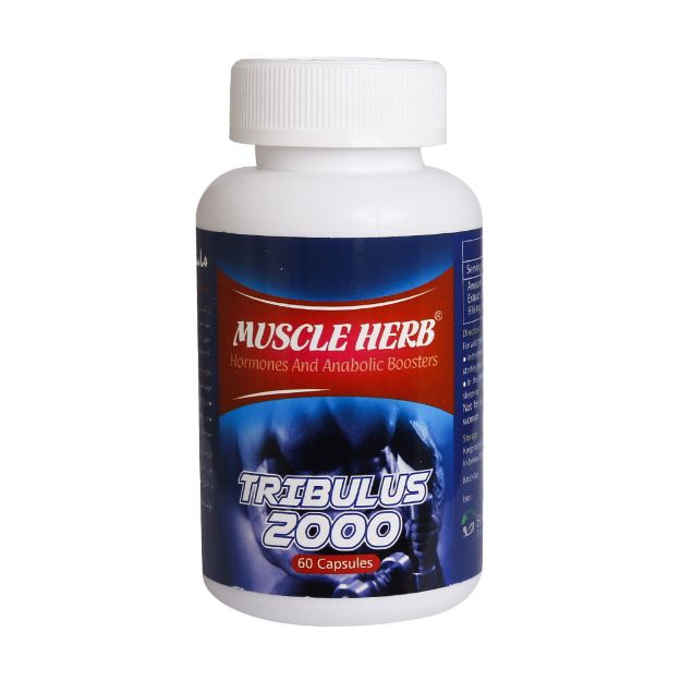 کپسول-تریبولوس-ماسل-هرب-بهتا-دارو--افزایش-هورمون-های-مردانه-60-عدد---Behta-Daru-Muscle-Herb-60-caps