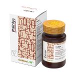 قرص-پین-لیز-گلدن-لایف-تسکین-دهنده-دردهای-مفصلی-30-عدد---Golden-Life-Painlys-Tablets-30-Tabs