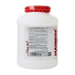 پودر گینر تانک مس مگنوم 2270 گرم - Magnum Ganer Tank Mass 2270 g