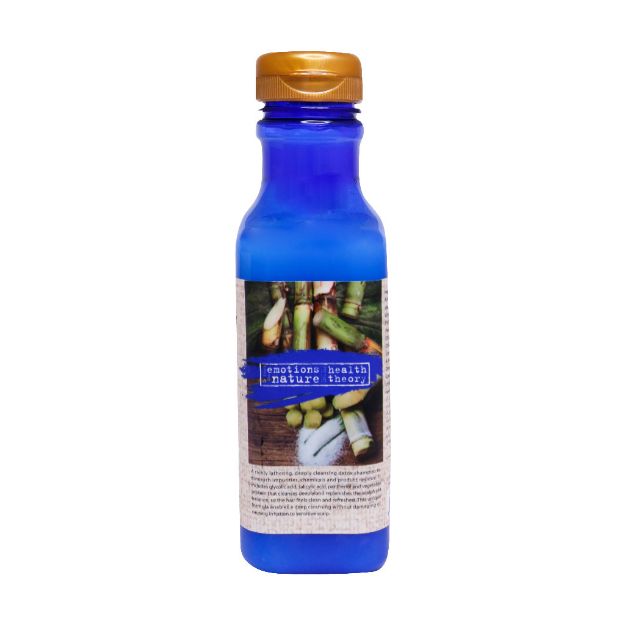 شامپو-گلایکولیک-اسید-هلس-تئوری-مناسب-موهای-چرب-385-میلی-لیتر---Healtheory-Glycolic-Acid-Detoxifying-Shampoo-for-Oily-Hair-385-ml