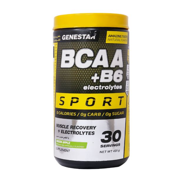 پودر-بی-سی-ای-ای-و-ب6-ژن-استار-420-گرم---Genestar-BCAA-and-B6-Powder-420-g
