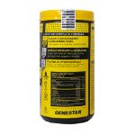 پودر-بی-سی-ای-ای-و-ب6-ژن-استار-420-گرم---Genestar-BCAA-and-B6-Powder-420-g