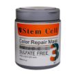 ماسک-مو-استم-سل-مخصوص-موهای-رنگ-شده-و-هایلایت-شده-500-میلی-لیتر---Stem-Cell-Color-Repair-Mask-500-ml