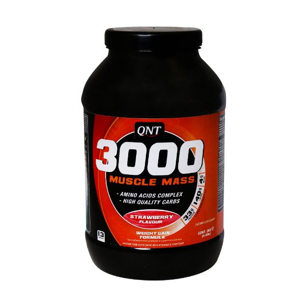پودر ماسل مس 3000 کیو ان تی 2 کیلوگرم - QNT Muscle Mass 3000 2 Kg