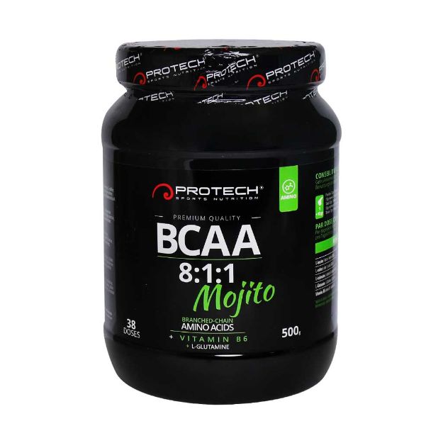 پودر-بی-سی-ای-ای-8x1x1-پروتک-500-گرم---Protech-BCAA-8x1x1-Powder-500-g