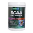 پودر-بی-سی-ای-ای-مکس-پاور-نوتری-ویتا-360-گرم---Nutri-Vita-BCAA-Max-Power-360-g