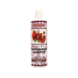 شامپو-انار-پرژک-۴۵۰-گرم---Parjak-Pomegranat-Shampoo-450-g