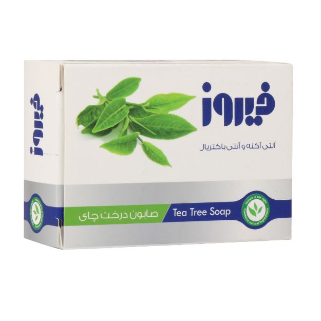 صابون-تی-تری-فیروز-مناسب-پوست-های-چرب-و-مستعد-آکنه-۱۲۰-گرم---Firooz-Tea-Tree-Soap-120-g