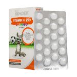 قرص-جویدنی-ویتامین-C-250-میلی-گرم-فیشر-کیندر-40-عدد---Fisher-Kinder-Vitamin-C-250-Mg-40-Chewable-Tabs