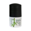 دئورولان-مردانه-فرش-بامبو-شون-۶۰-میلی‎لیتر---Schon-Fresh-Bamboo-Deo-Roll-On-For-men-60ml