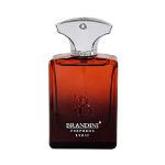 عطر-جیبی-مردانه-برندینی-مدل-Lyric-حجم-33-میلی-لیتر---Brandini-Eau-De-Parfum-Lyric-for-men-33-ml
