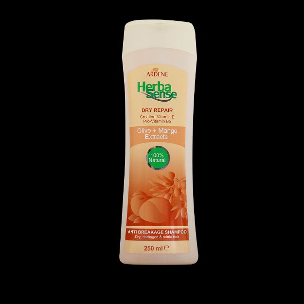 شامپو-هربا-سنس-آردن-مناسب-موهای-خشک-و-دارای-موخوره-۲۵۰-میلی‌لیتر---Arden-herba-sense-dry-repair-shampoo-250ml